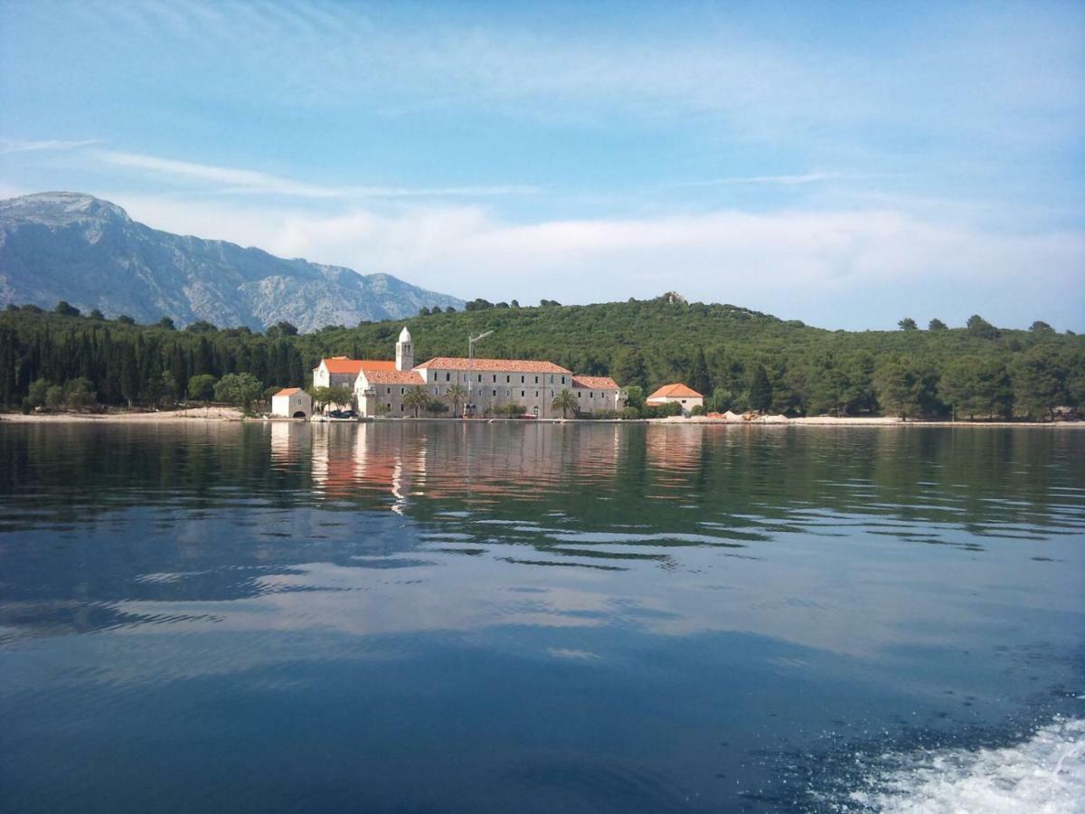 Apartments Daniela Korčula Zewnętrze zdjęcie
